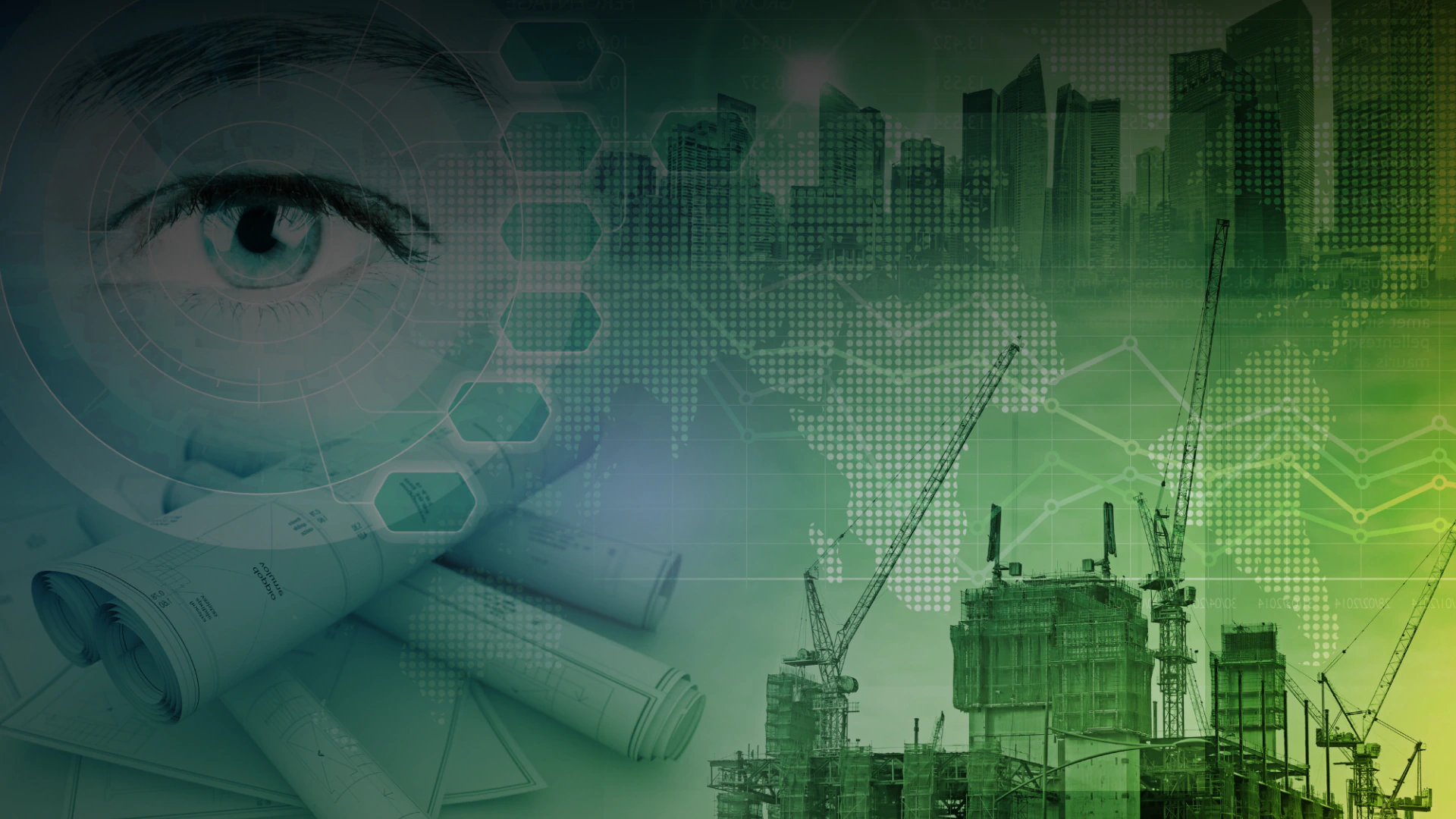 Project Management Consulting